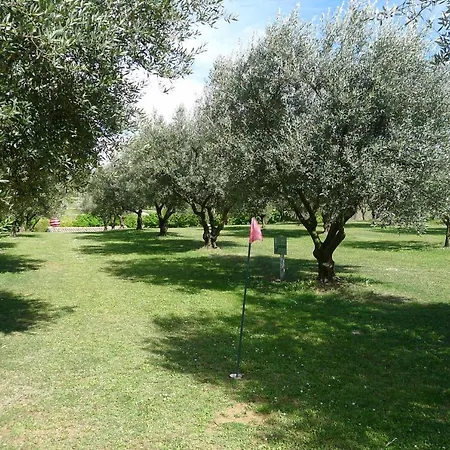 Holiday home Les Piegonnaises - Deux Luxueuses Roulottes Et La En Drome Provencale Piegon