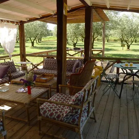 Les Piegonnaises - Deux Luxueuses Roulottes Et La En Drome Provencale * Piegon